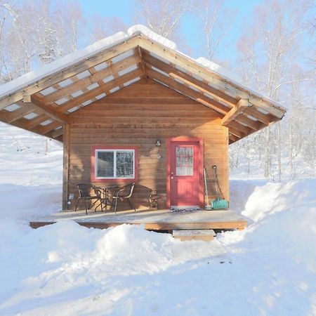 Spruce Cabin Talkeetna Dış mekan fotoğraf
