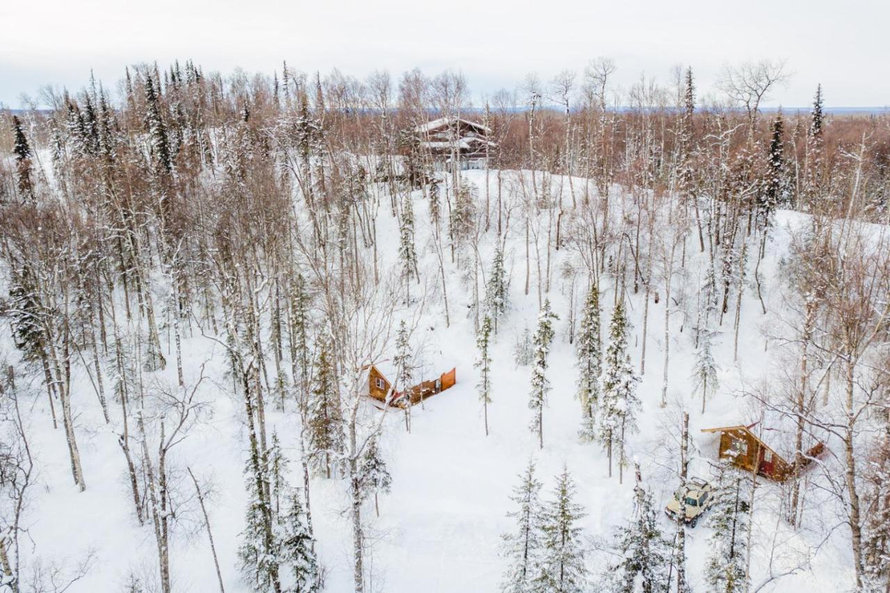 Spruce Cabin Talkeetna Dış mekan fotoğraf