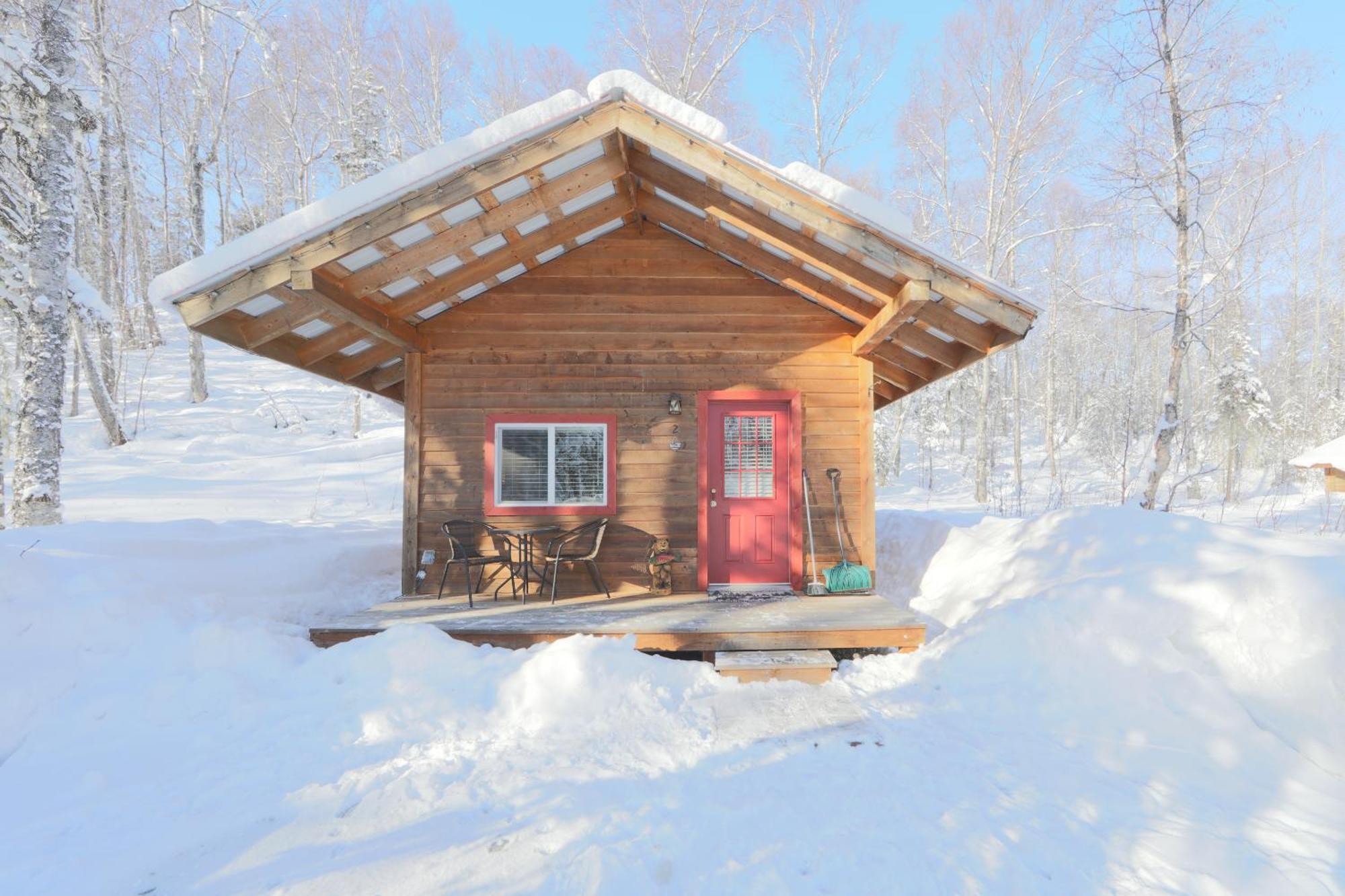 Spruce Cabin Talkeetna Dış mekan fotoğraf